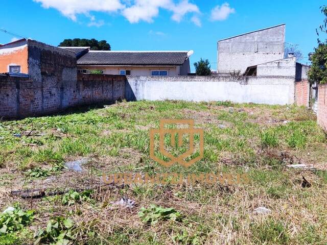 #54 - Área para Venda em São José dos Pinhais - PR - 2