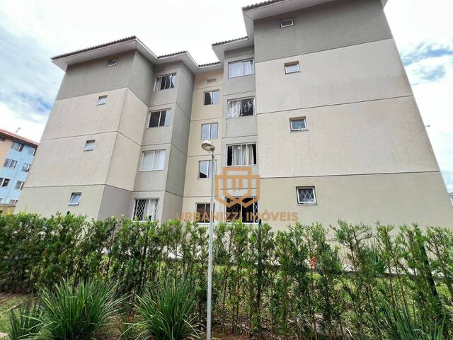 #65 - Casa para Venda em São José dos Pinhais - PR - 3